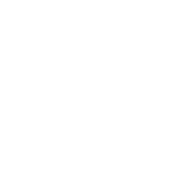 The Giant Low